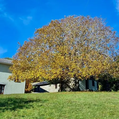 Agriturismo Il Noce D'oro