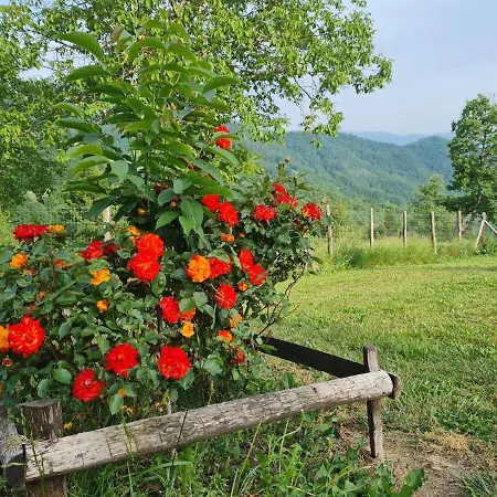 Agriturismo Il Noce D'oro مزرعة للإقامة