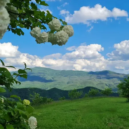 Farm stay Agriturismo Il Noce D'oro *