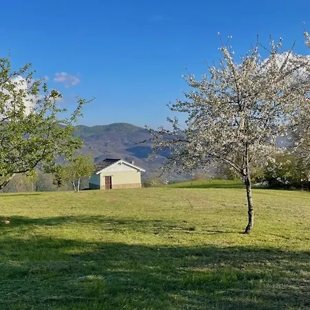 Agriturismo Il Noce D'oro Farm stay
