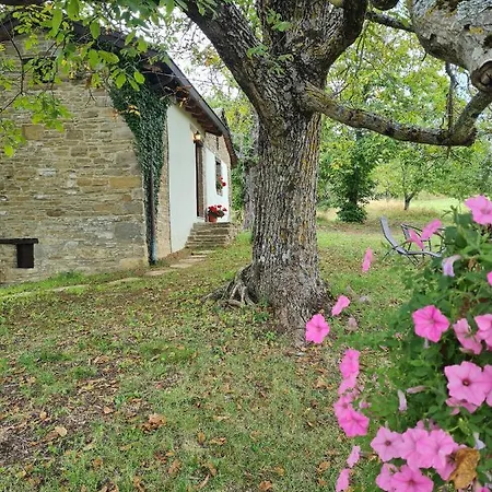 Farm stay Agriturismo Il Noce D'oro