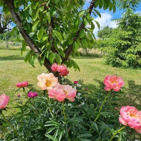 Il Noce D'oro Borgo Val di Taro